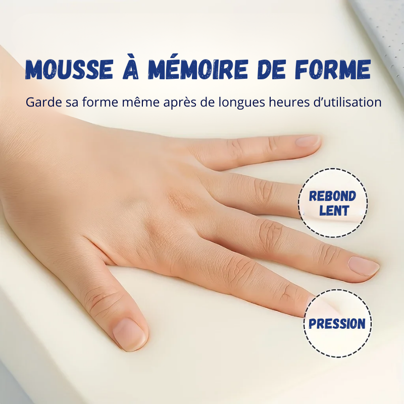 Coussin 3D à Mémoire de Forme – Soulage Dos & Coccyx