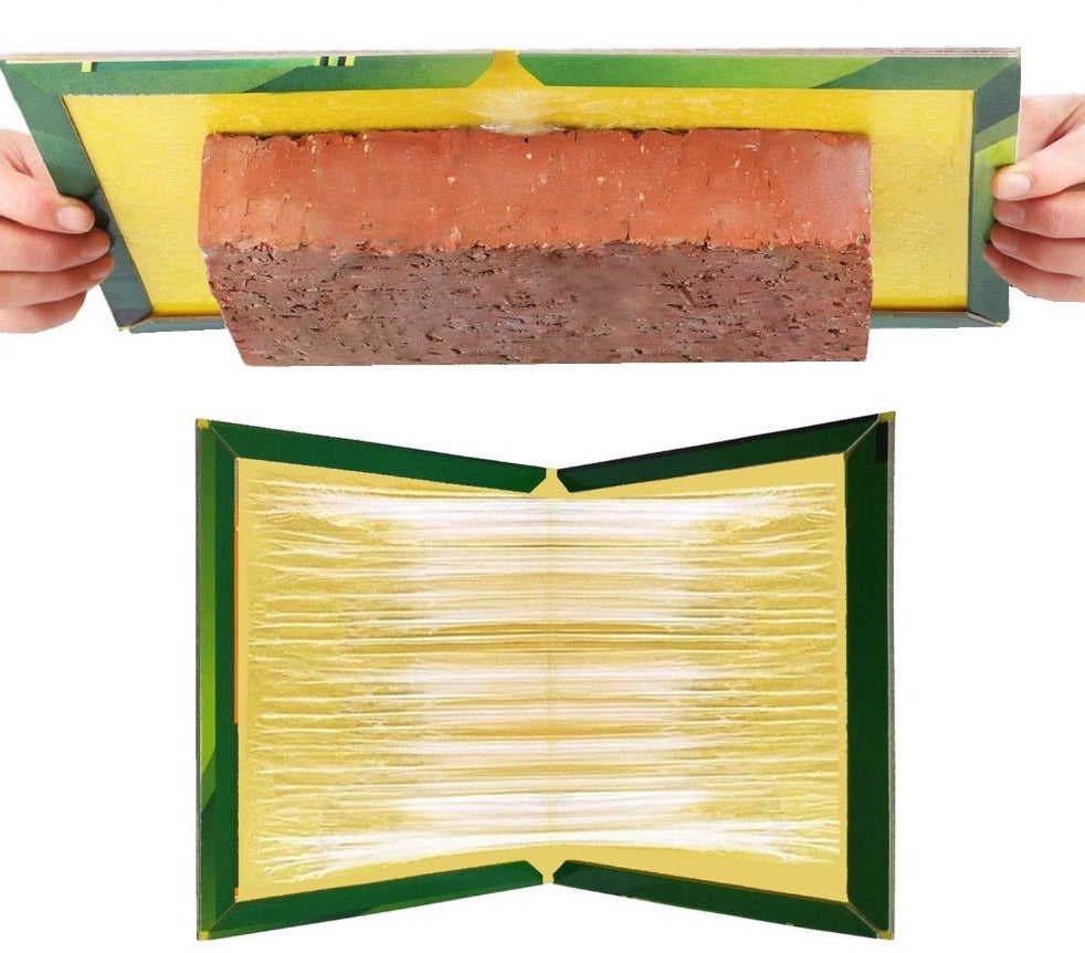 Pièges à Colle Anti Rongeurs