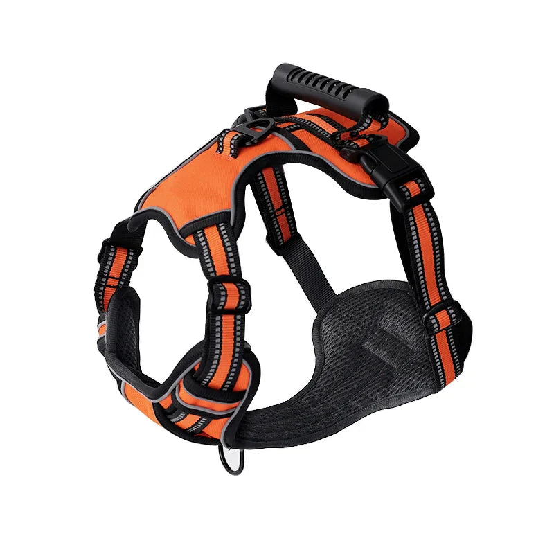 Orange / XS,Orange / S,Orange / M,Orange / L,Orange / XL