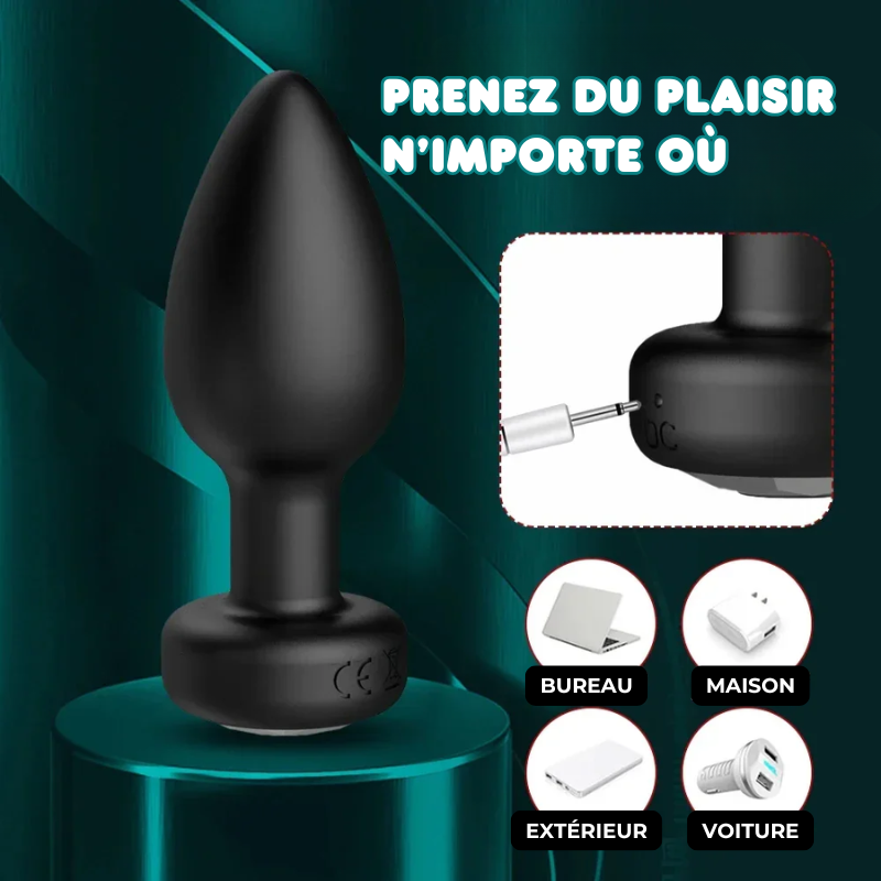 Plug anal 10 Vibrations Contrôlable à distance