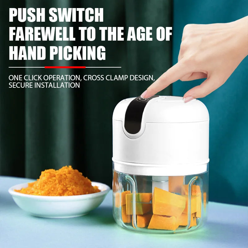 Petit Mixeur Rechargeable