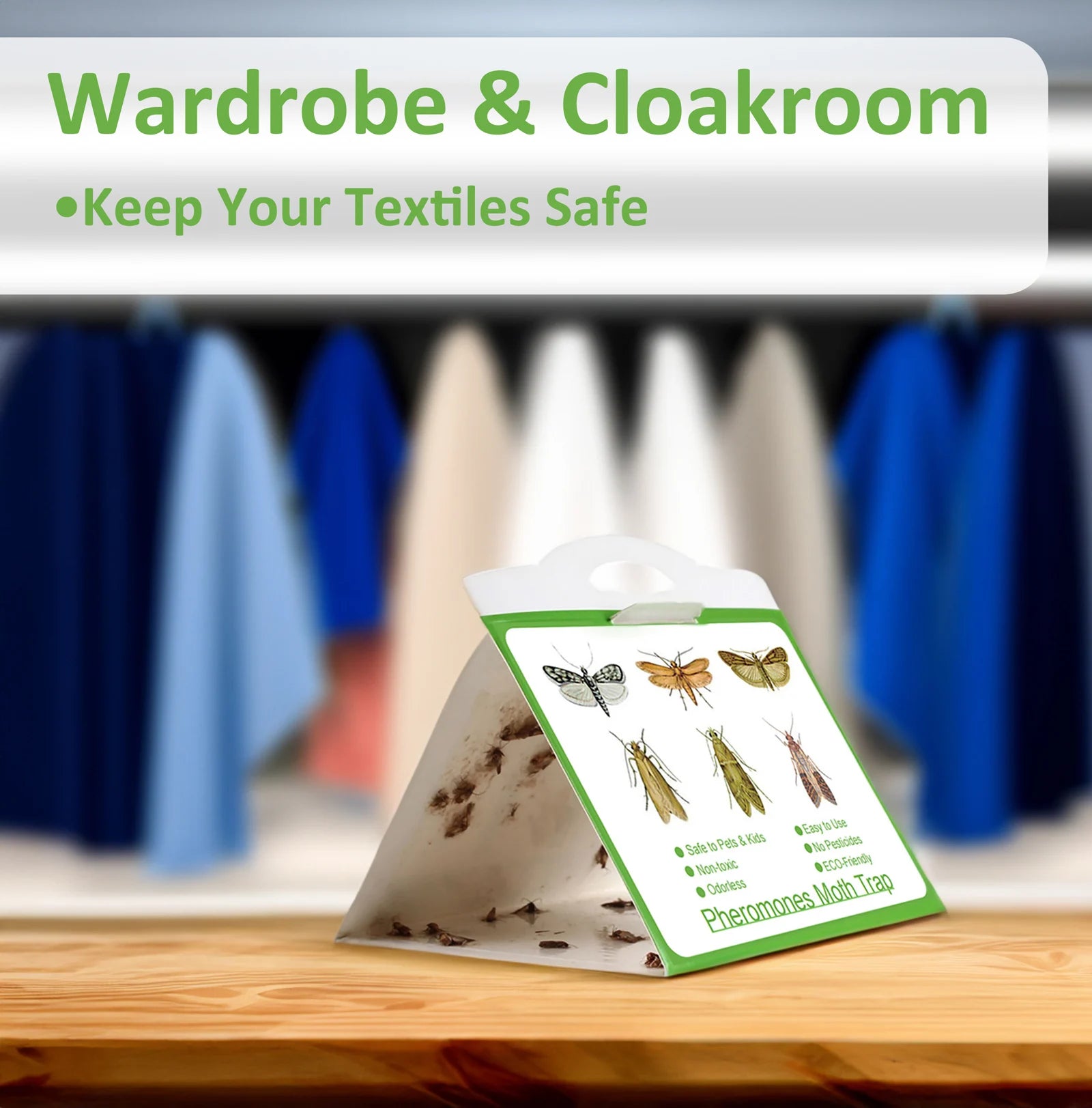 Piège Autocollant Anti-Mites