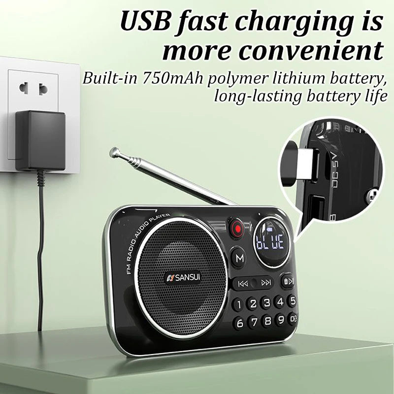 Mini Radio FM