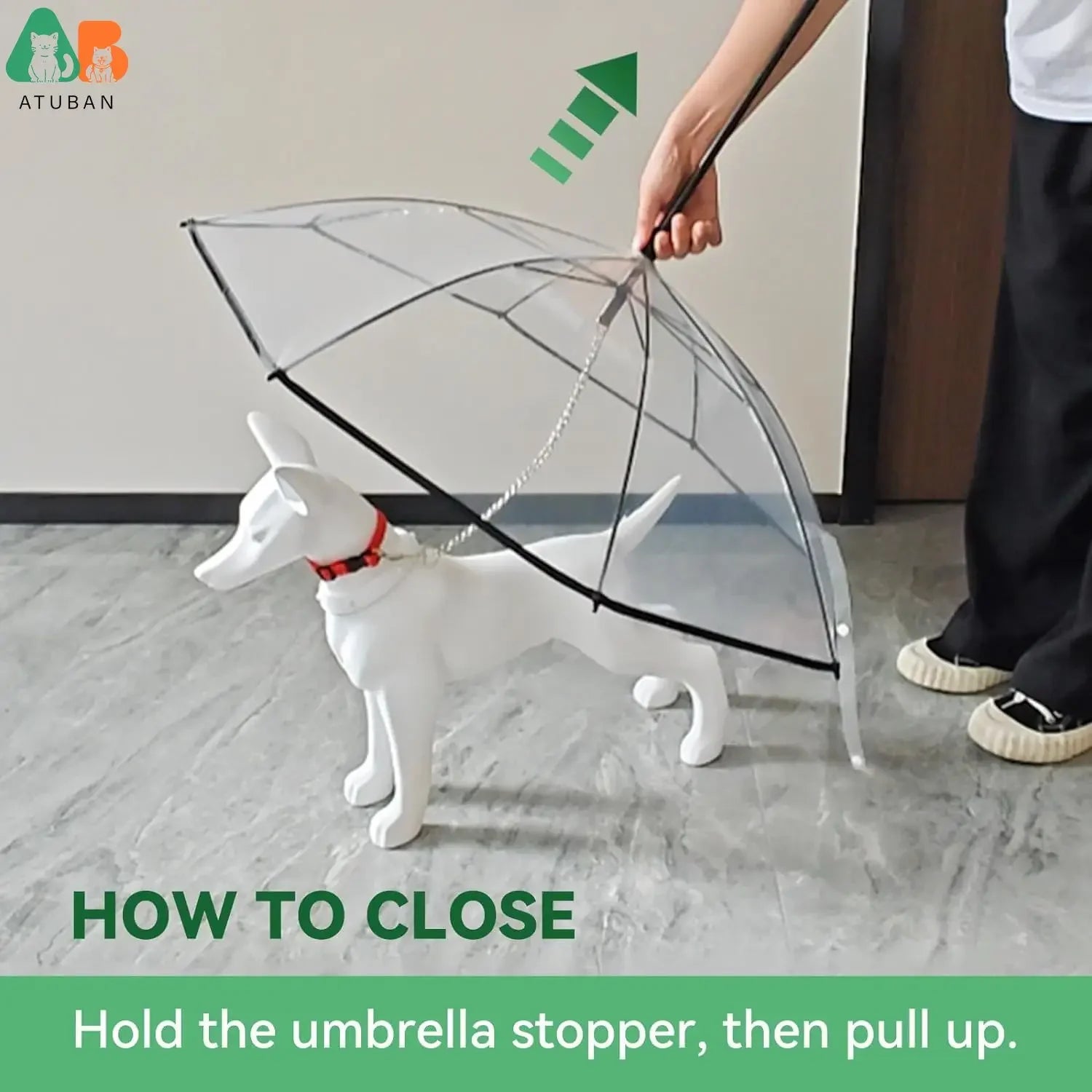 Parapluie Inversé pour Petit Chien avec Laisse