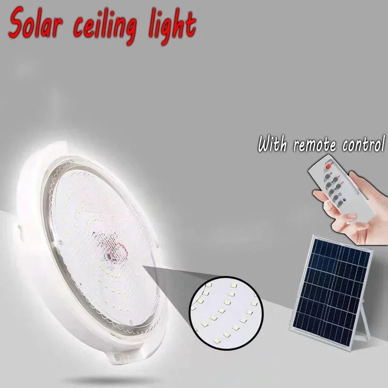 48261784437079|48261784469847|48261784502615|48261784535383|48261784568151|48261784600919