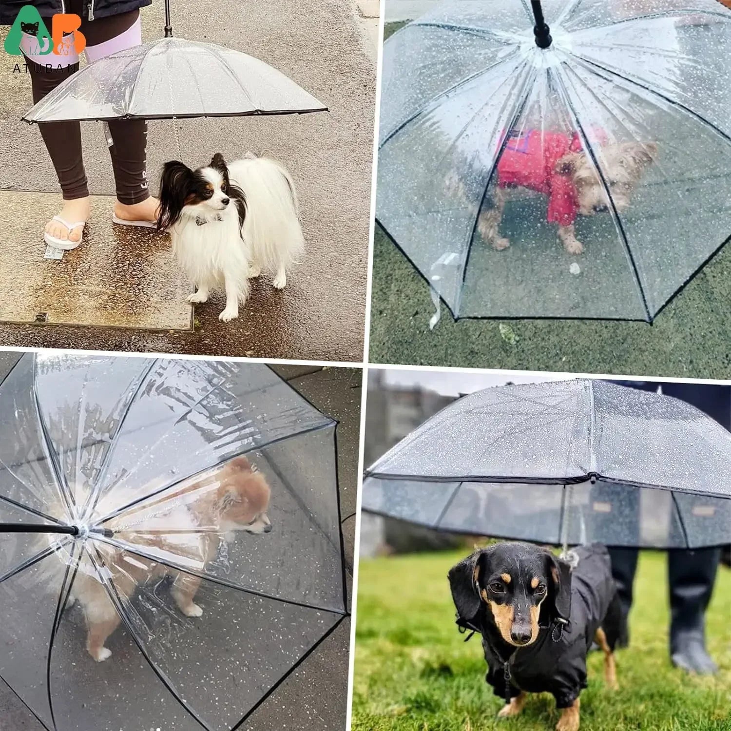 Parapluie Inversé pour Petit Chien avec Laisse