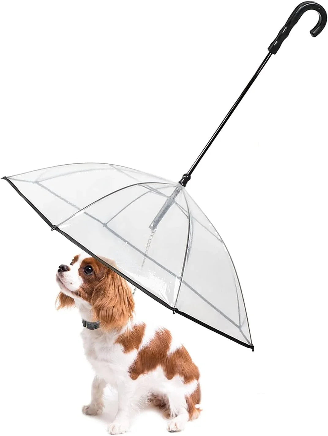 Parapluie Inversé pour Petit Chien avec Laisse