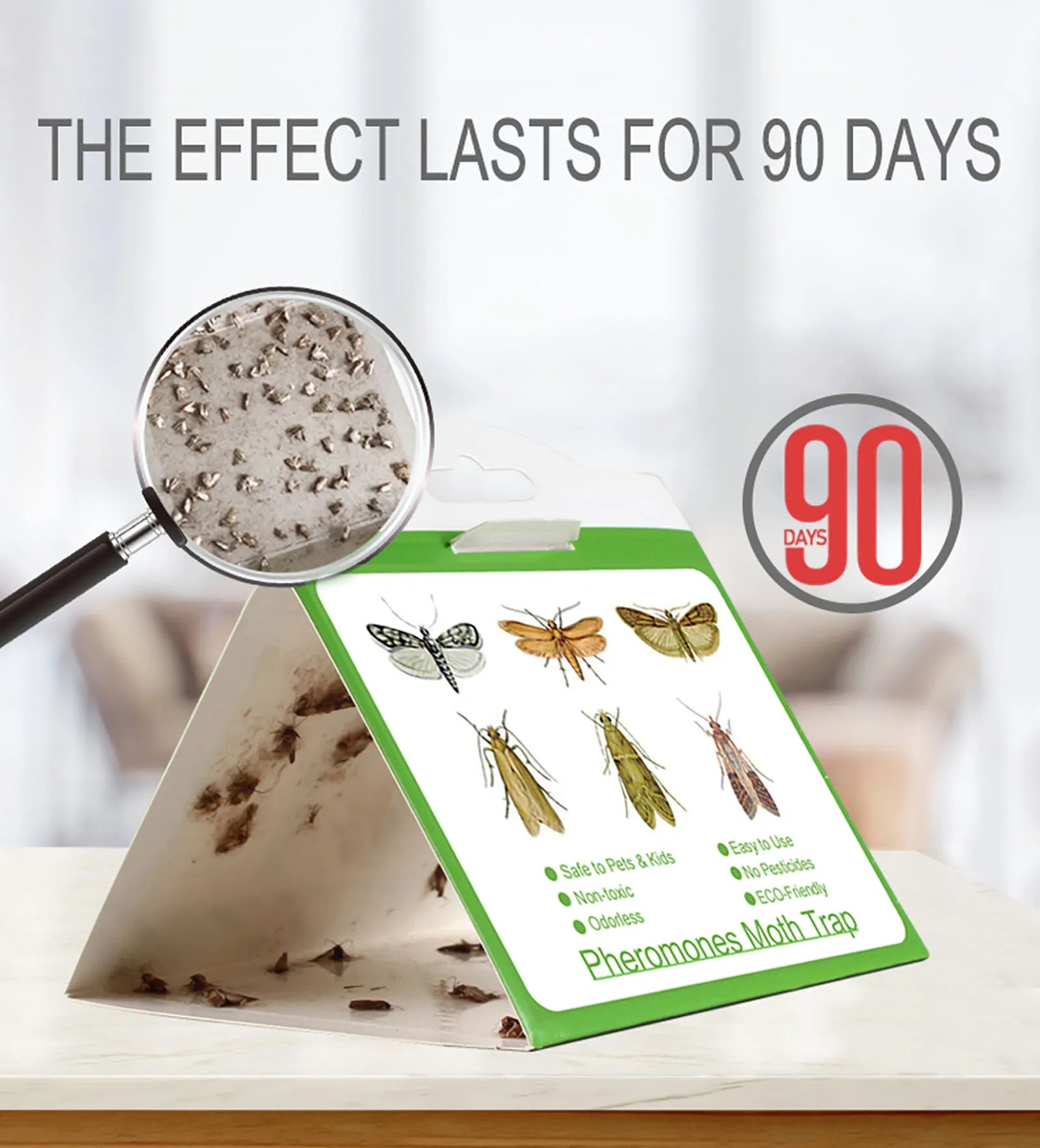 Piège Autocollant Anti-Mites