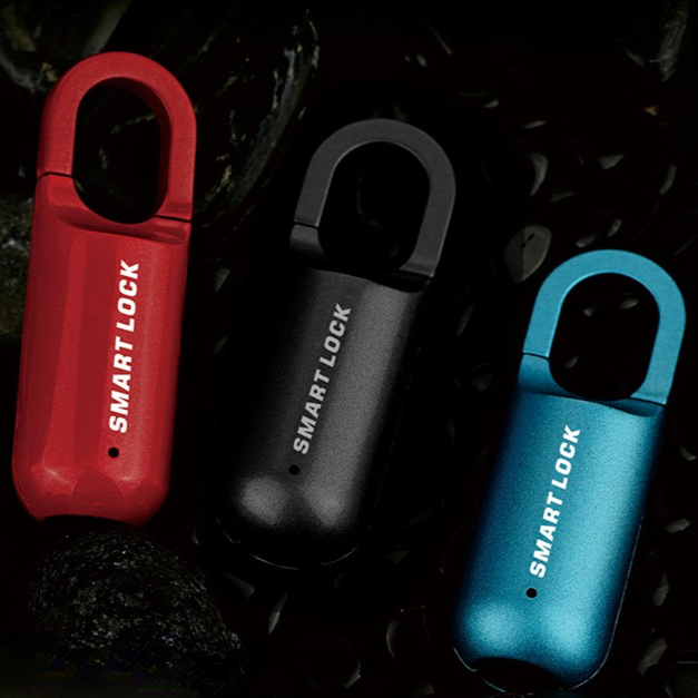 Mini Cadenas d'Empreinte Digital