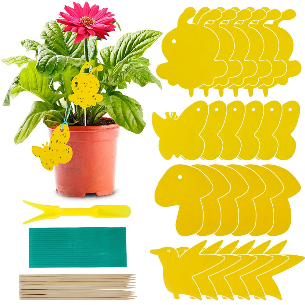 118 Pièges à insectes pour jardin et plantes