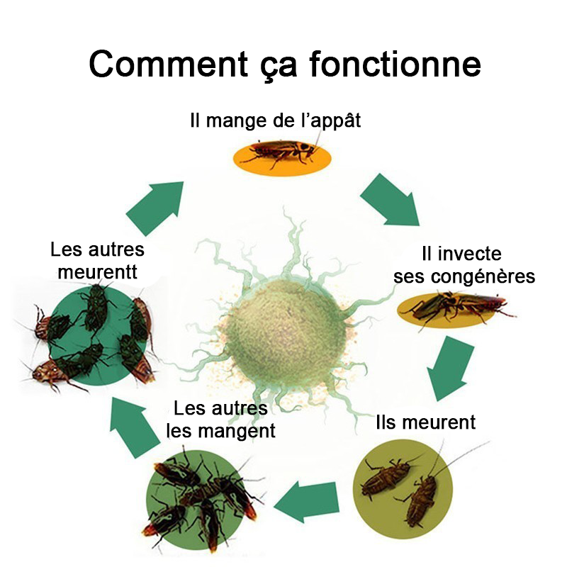 Sachets Eliminateur de Cafards