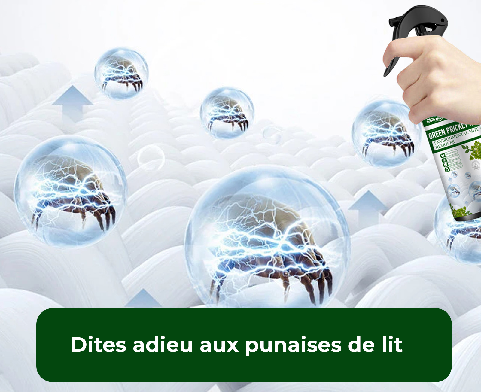 Spray Anti Punaises de Lit