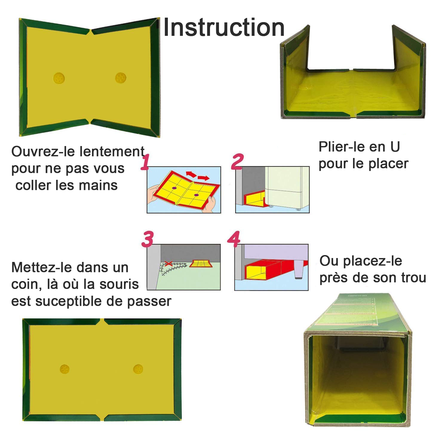 Pièges à Colle Anti Rongeurs