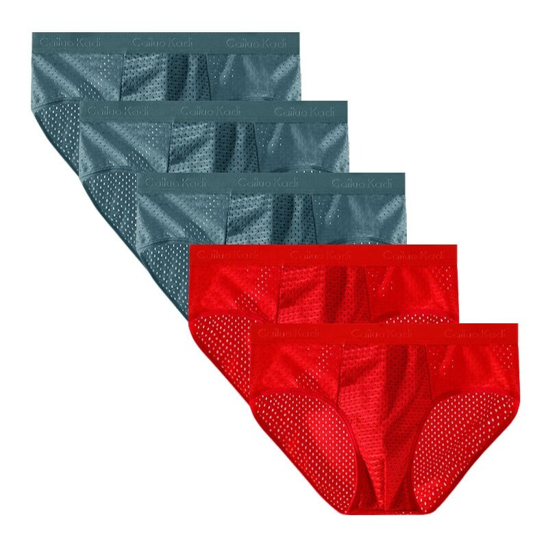 Lot de 5 Slips Antibactériens en Soie Glacée