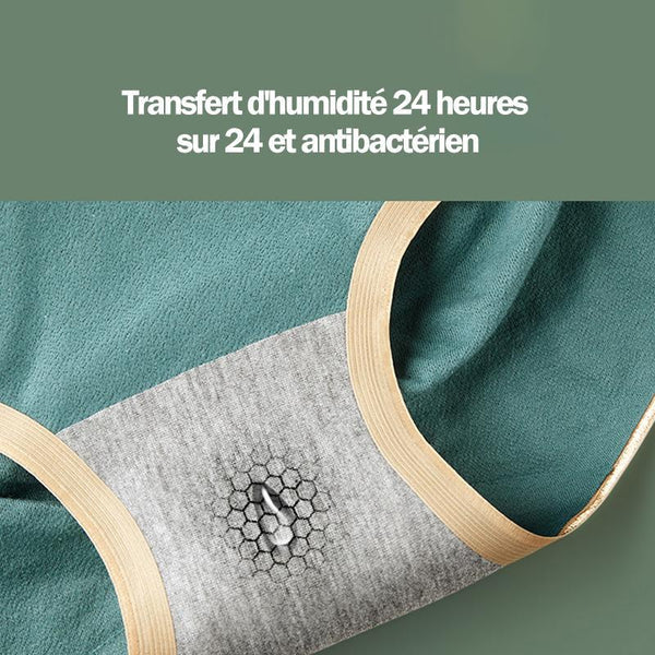 Culottes Hautes en Coton Sans Coutures