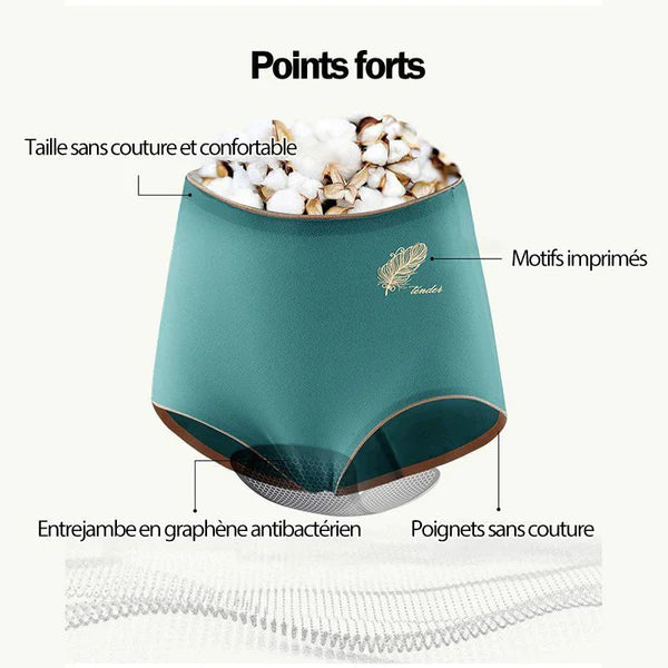 Culottes Hautes en Coton Sans Coutures