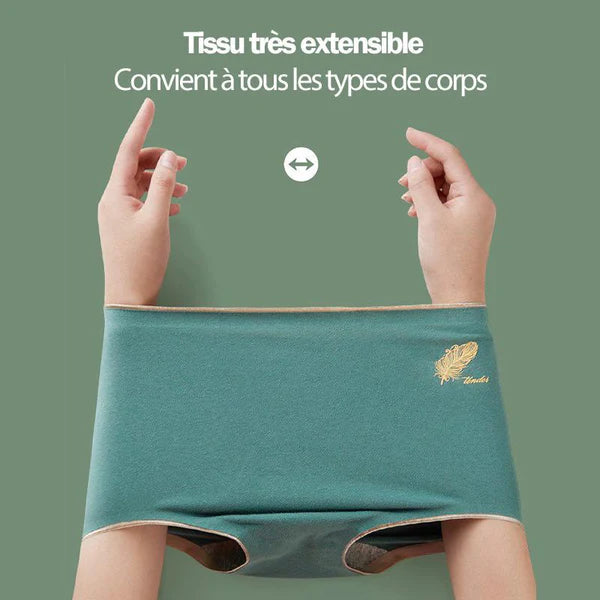 Culottes Hautes en Coton Sans Coutures