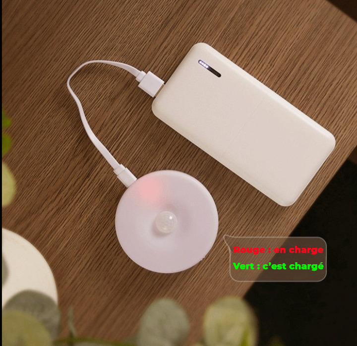 Lot de 2 Veilleuses à détecteur de mouvement