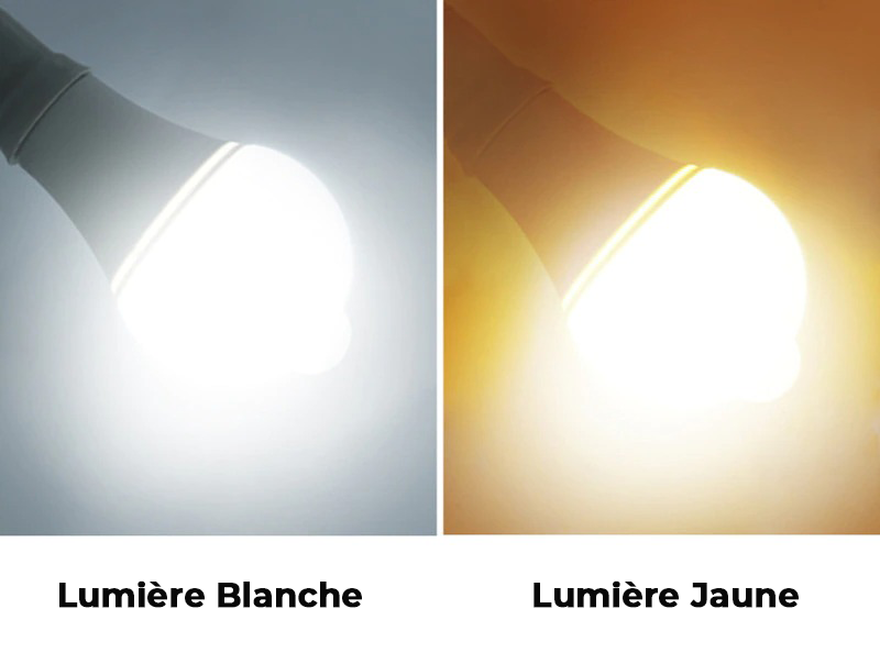 Lot de 2 ampoules avec détecteur de mouvement