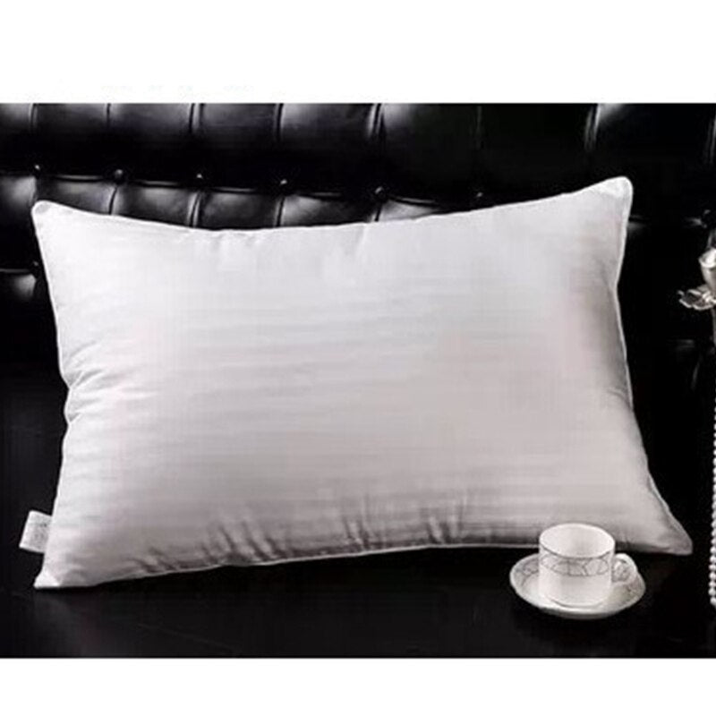 NOUVEAU - Oreiller en Soie 100% Naturelle