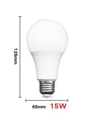 LOT de 10 AMPOULES LED E27