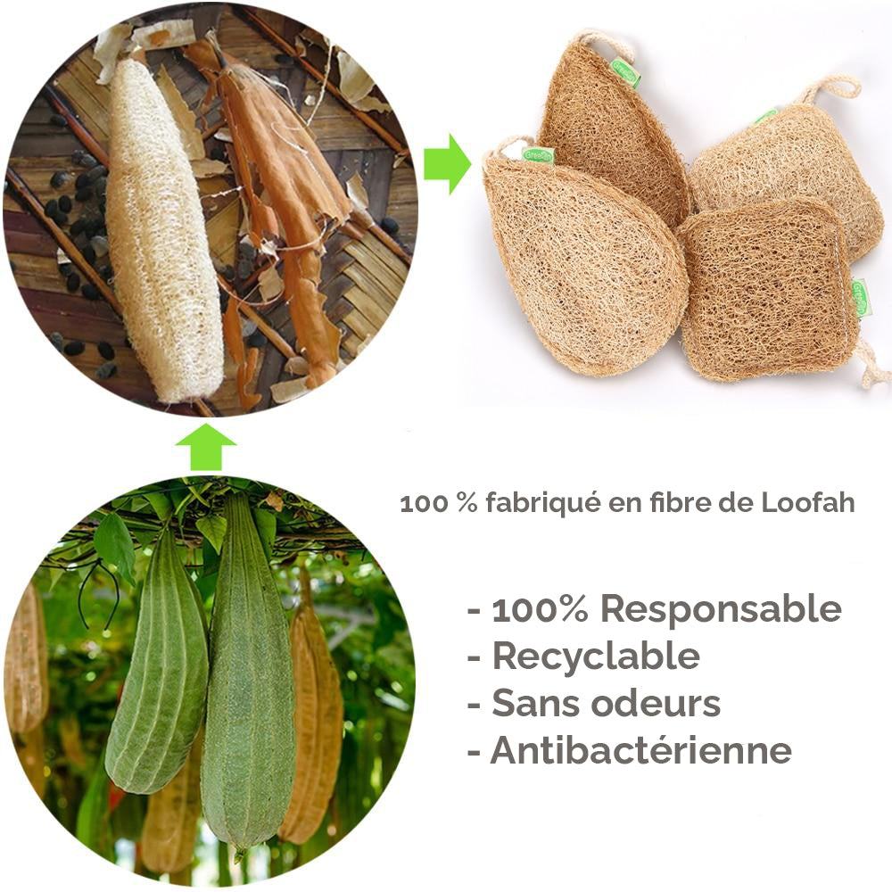 Lot de 2 éponges de cuisine écologiques en fibre naturelle de loofah