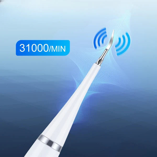 Kit Dentaire Électrique + Accessoires