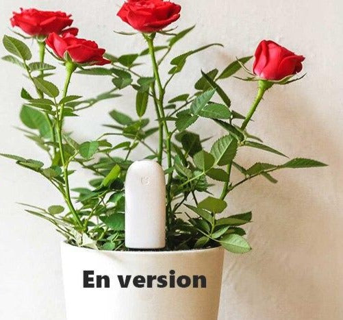 TOP VENTES I Capteur de Croissance Intelligent pour Plantes