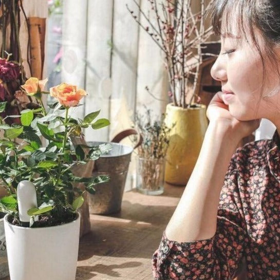 TOP VENTES I Capteur de Croissance Intelligent pour Plantes