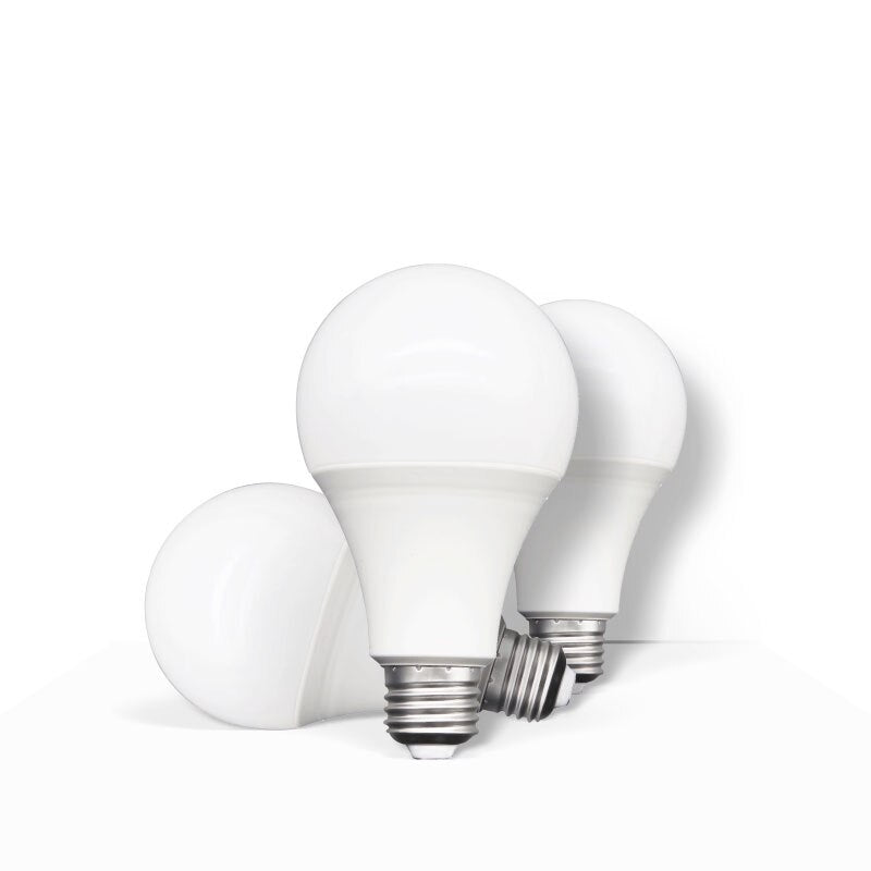 LOT de 10 AMPOULES LED E27