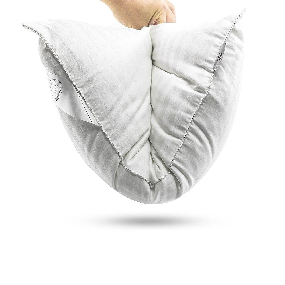 NOUVEAU - Oreiller en Soie 100% Naturelle