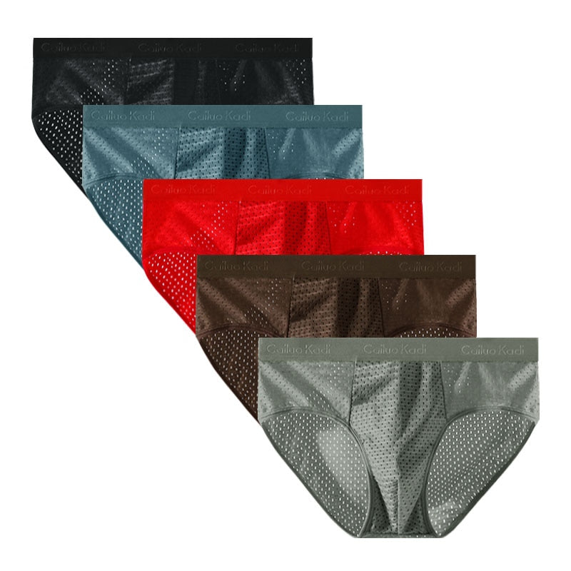 Lot de 5 Slips Antibactériens en Soie Glacée