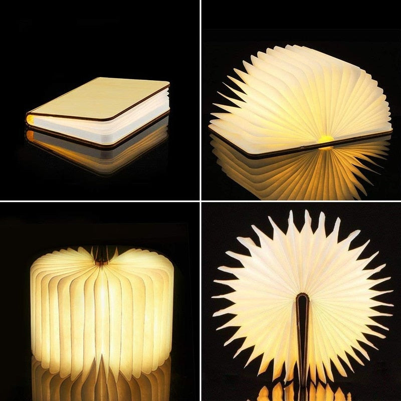 Lampe Livre Pliable