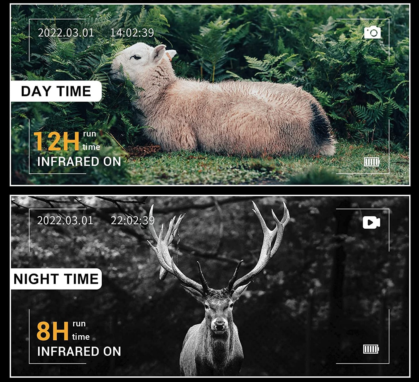 Jumelles à Vision Nocturne et Infrarouge