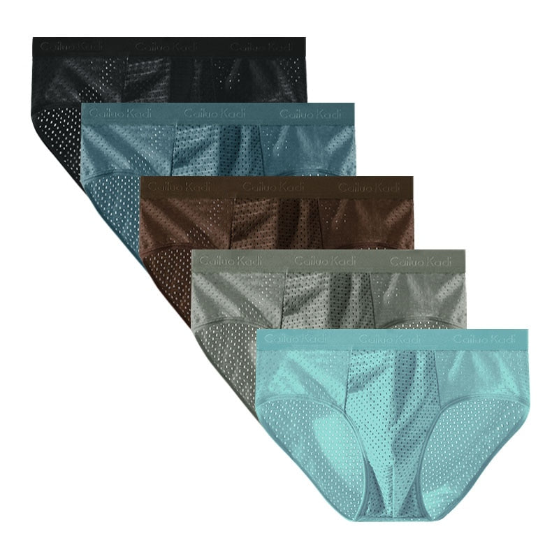 Lot de 5 Slips Antibactériens en Soie Glacée