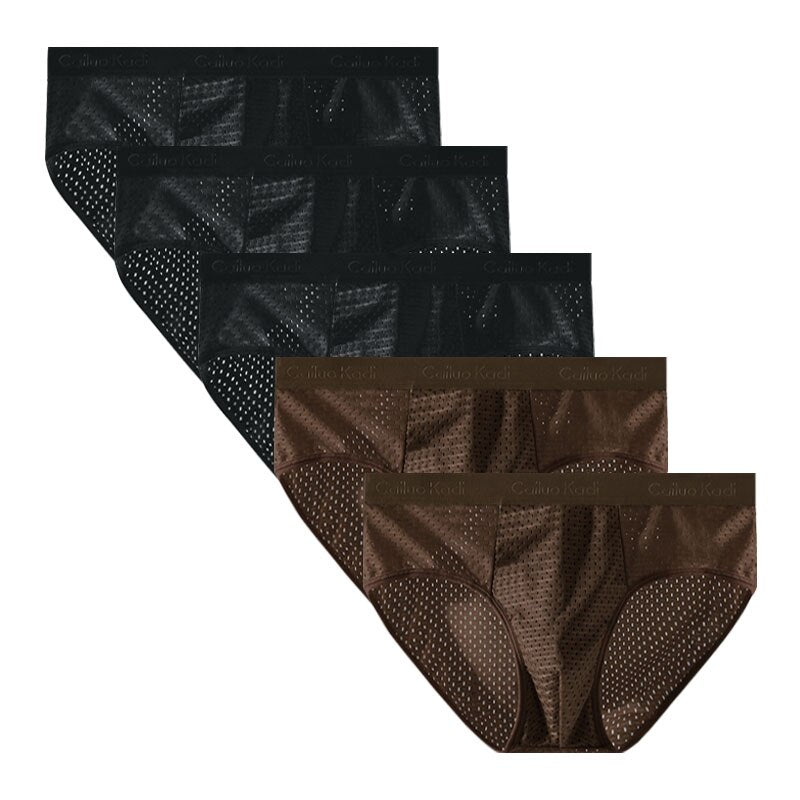 Lot de 5 Slips Antibactériens en Soie Glacée