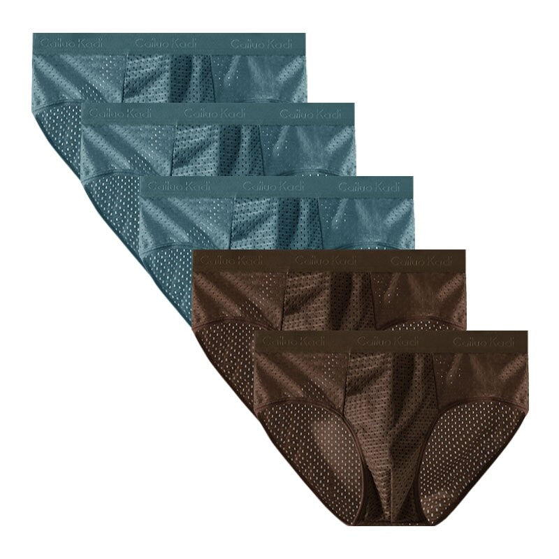 Lot de 5 Slips Antibactériens en Soie Glacée