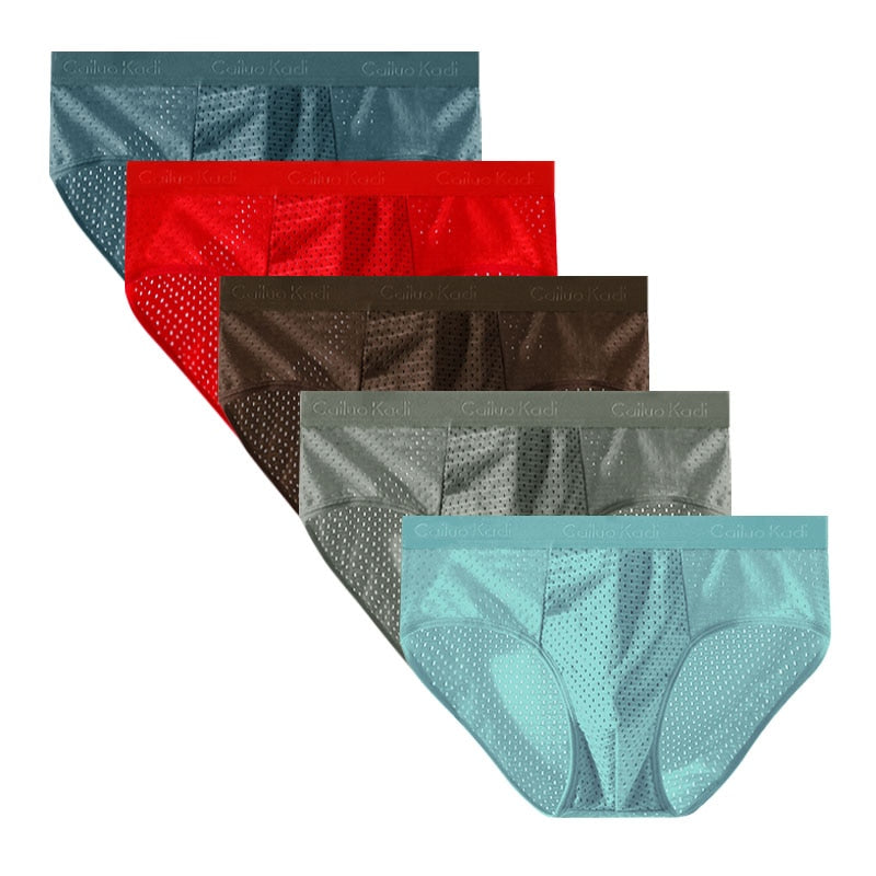 Lot de 5 Slips Antibactériens en Soie Glacée