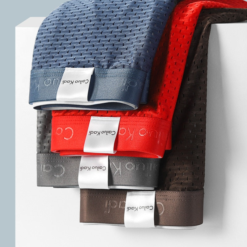 Lot de 5 Slips Antibactériens en Soie Glacée