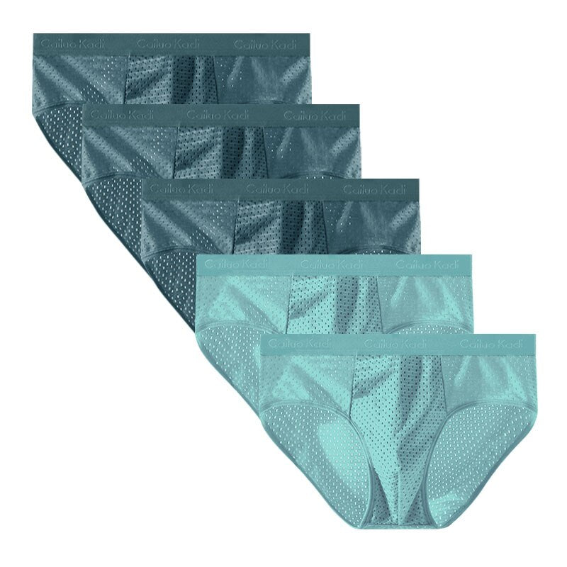 Lot de 5 Slips Antibactériens en Soie Glacée