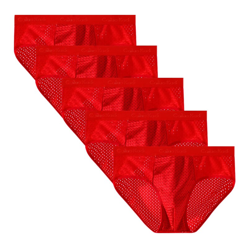 Lot de 5 Slips Antibactériens en Soie Glacée