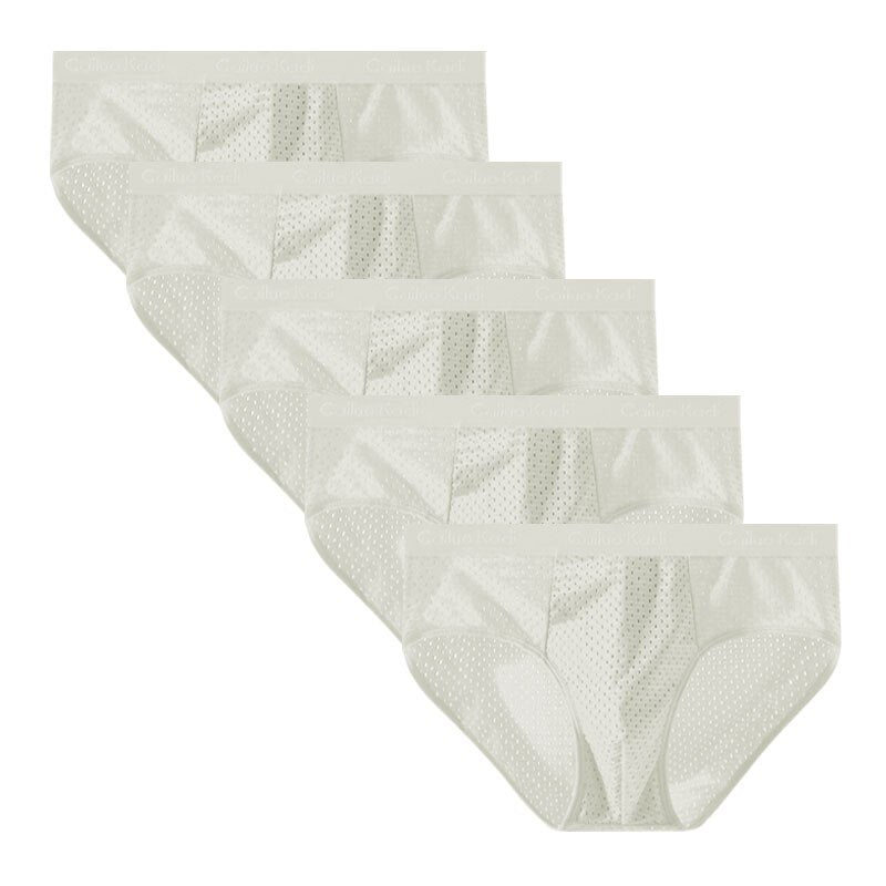 Lot de 5 Slips Antibactériens en Soie Glacée