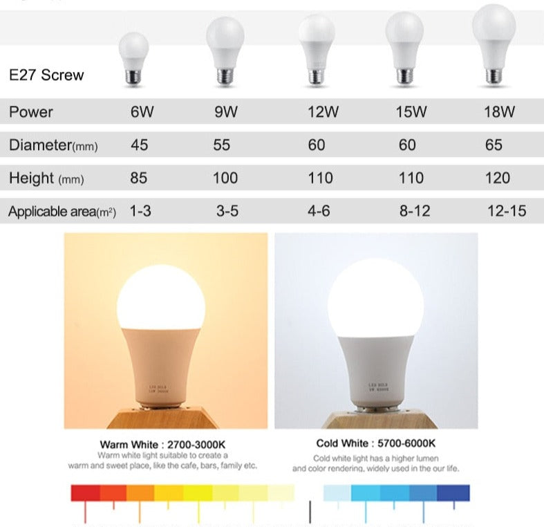 Lot de 10 ampoules LED basse consommation