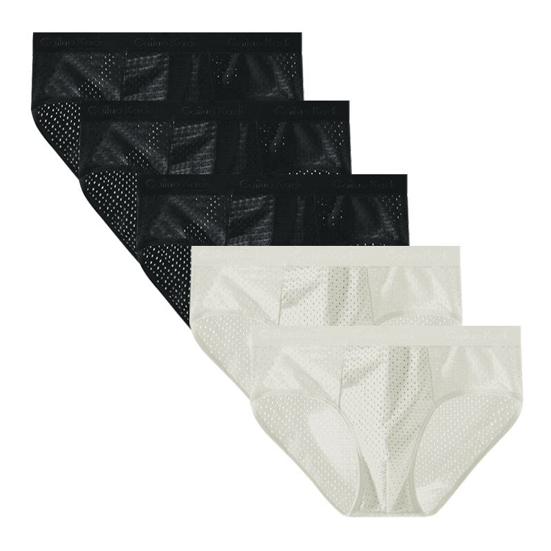 Lot de 5 Slips Antibactériens en Soie Glacée