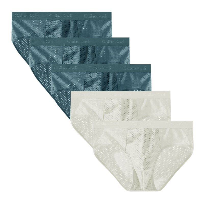 Lot de 5 Slips Antibactériens en Soie Glacée