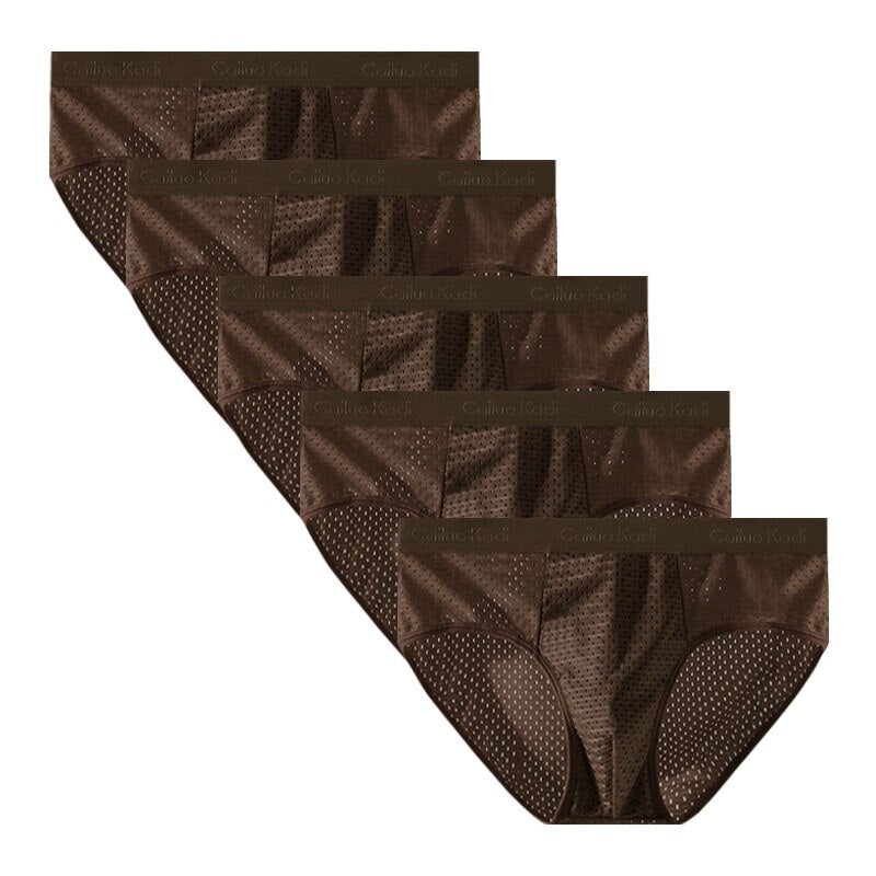 Lot de 5 Slips Antibactériens en Soie Glacée