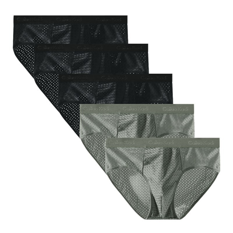 Lot de 5 Slips Antibactériens en Soie Glacée