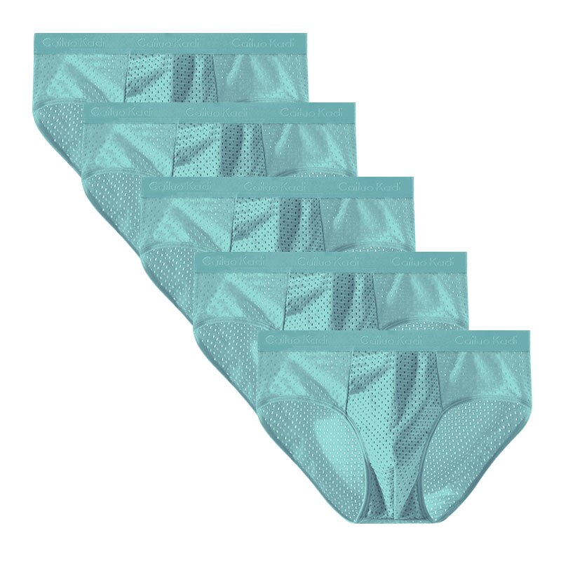 Lot de 5 Slips Antibactériens en Soie Glacée