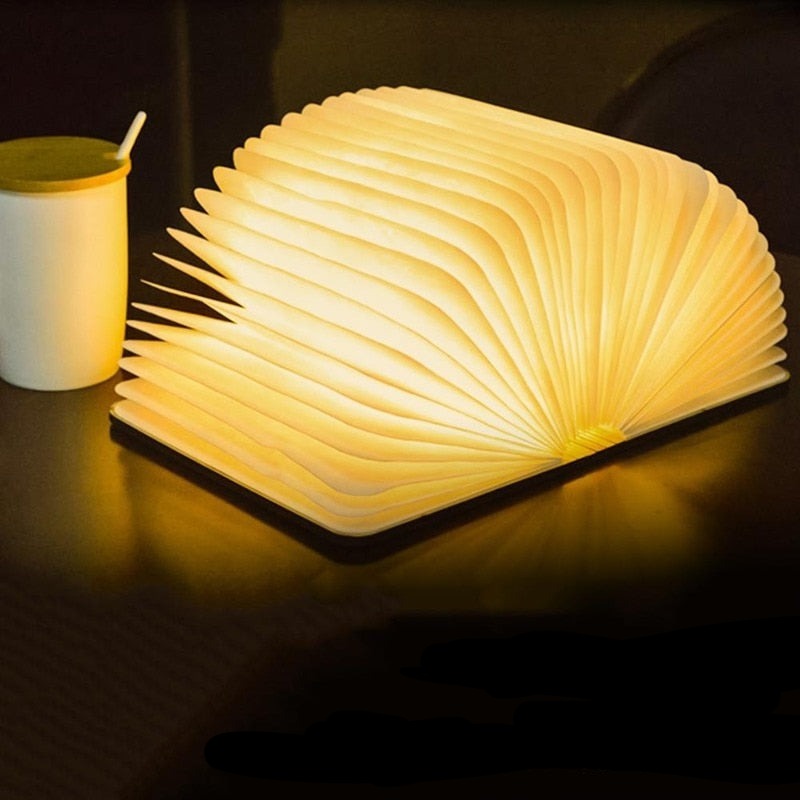 Lampe Livre Pliable