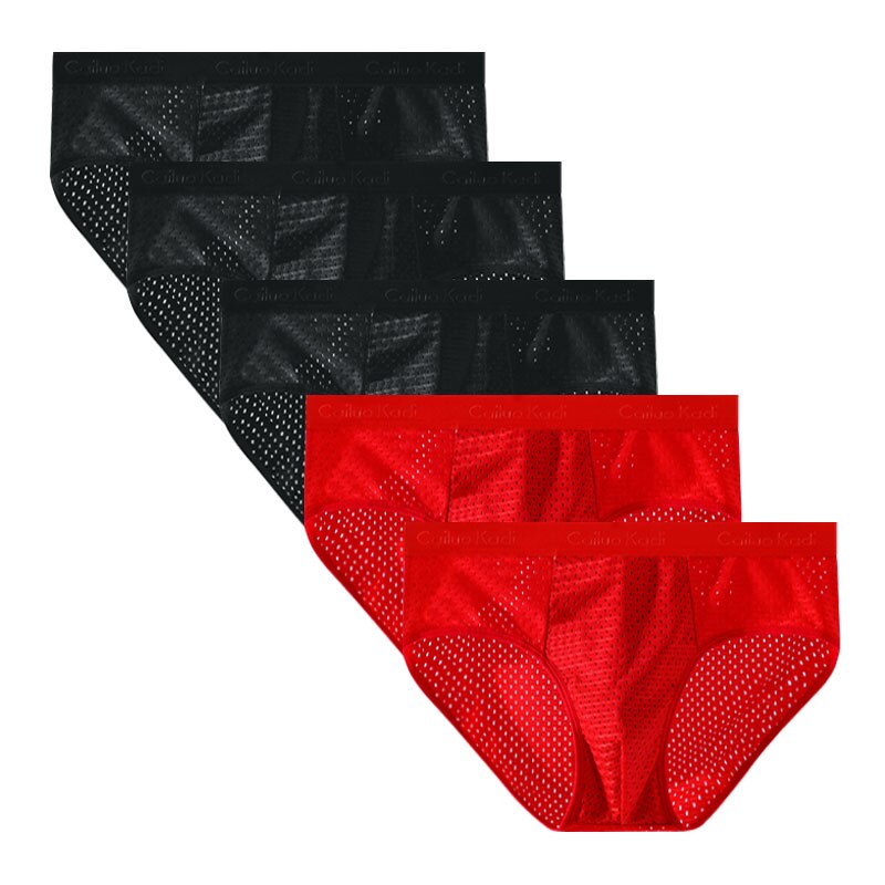 Lot de 5 Slips Antibactériens en Soie Glacée